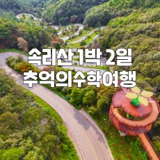 리마인드 수학여행