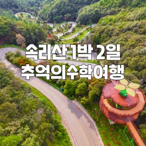 리마인드 수학여행