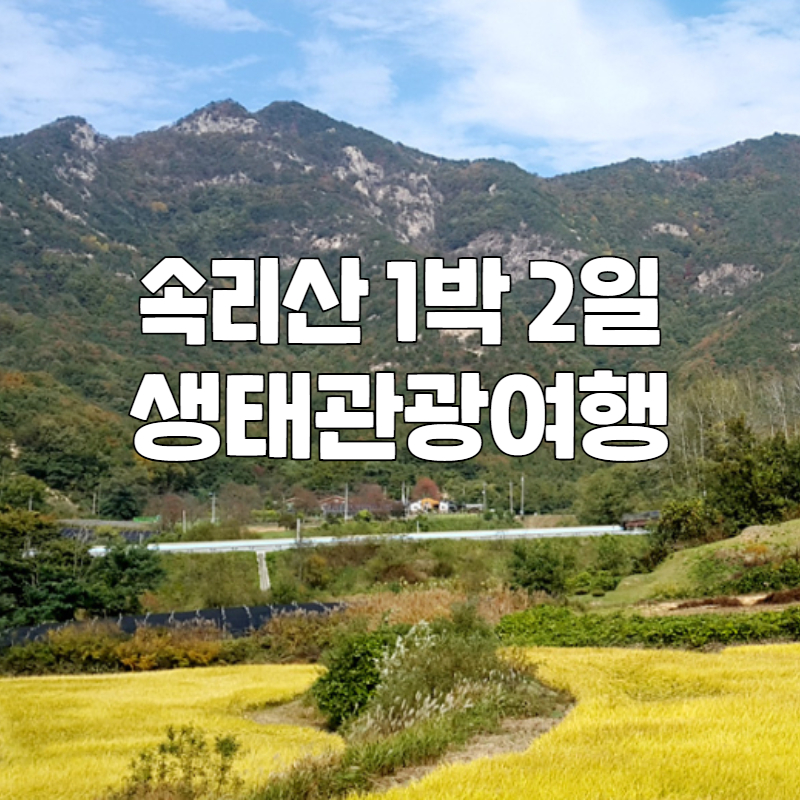 보은 생태관광여행