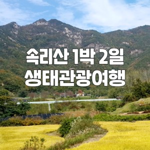 보은 생태관광여행