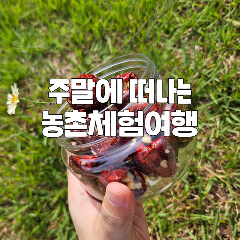 보은 농촌체험여행