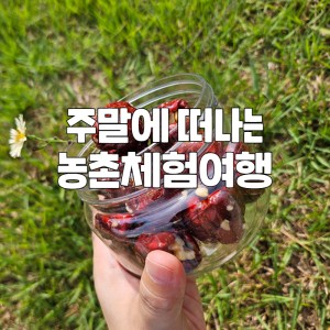 보은 농촌체험여행